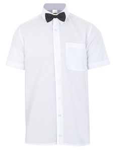 Velilla 56 - BOW TIE